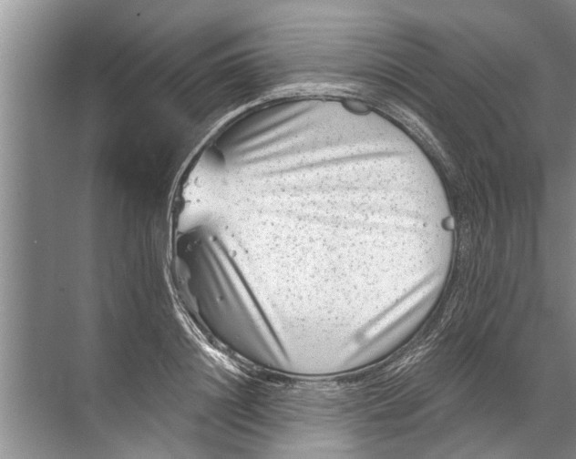 X0000071800844200607150144