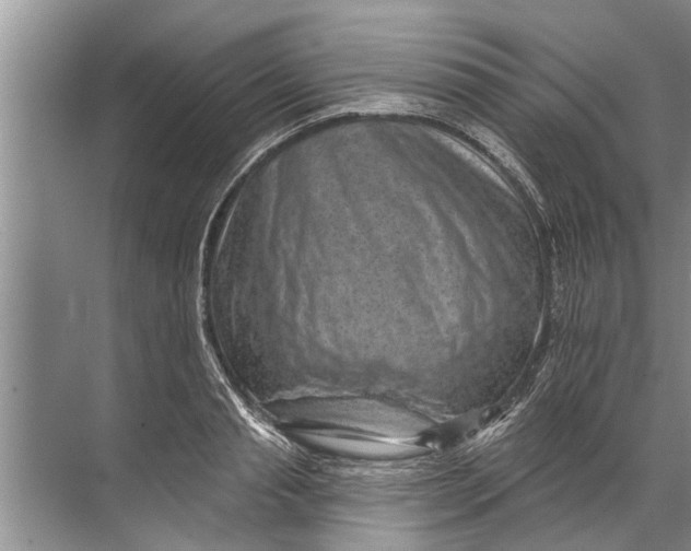 X0000071800845200607150144