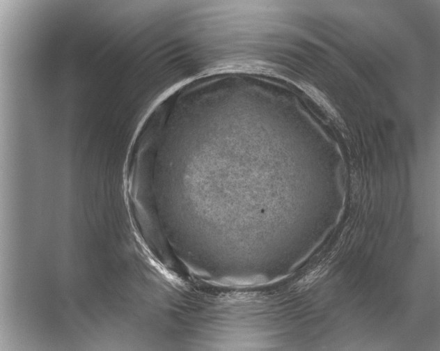 X0000071800846200607150144