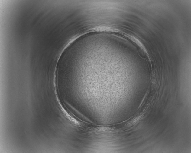 X0000071800847200607150145