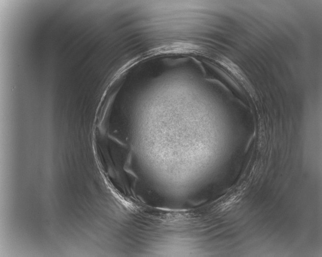 X0000071800850200607150145