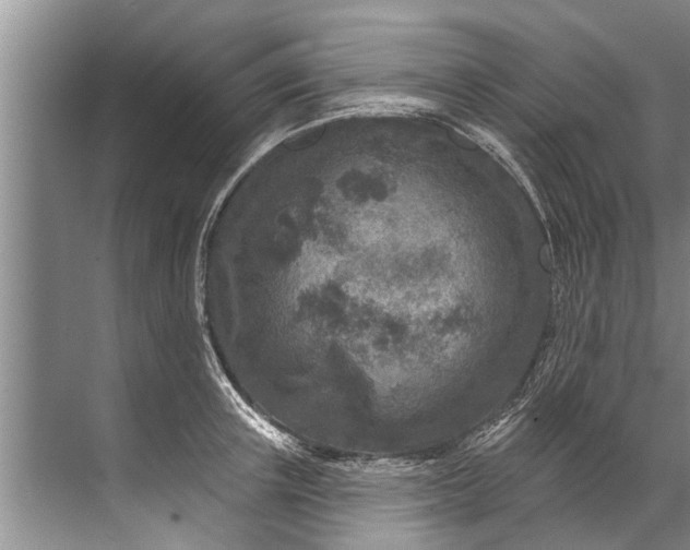 X0000071800851200607150145