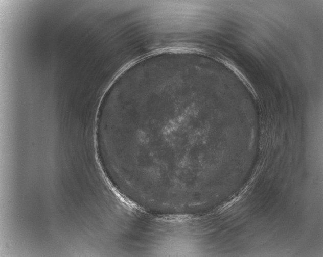 X0000071800853200607150145