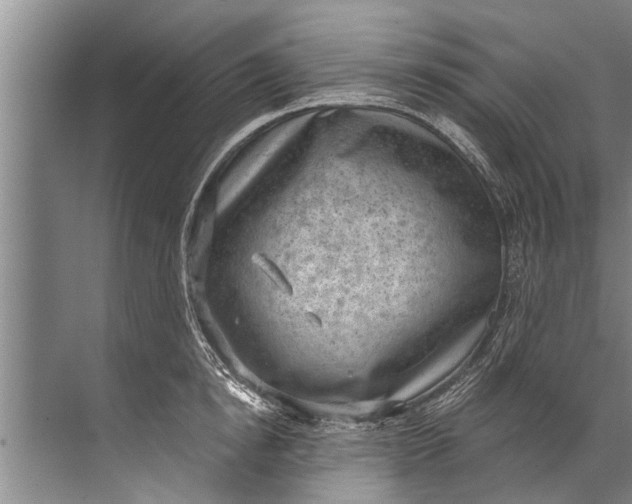 X0000071800854200607150145