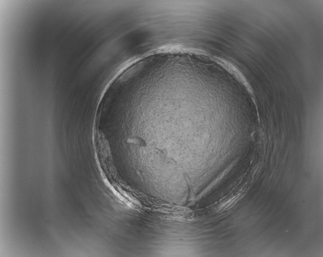 X0000071800855200607150145