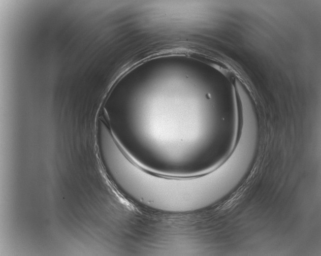 X0000071800858200607150145