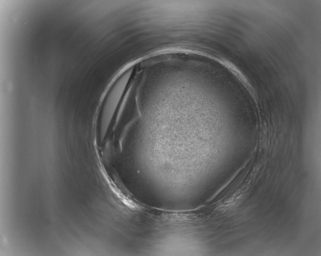 X0000071800862200607150145