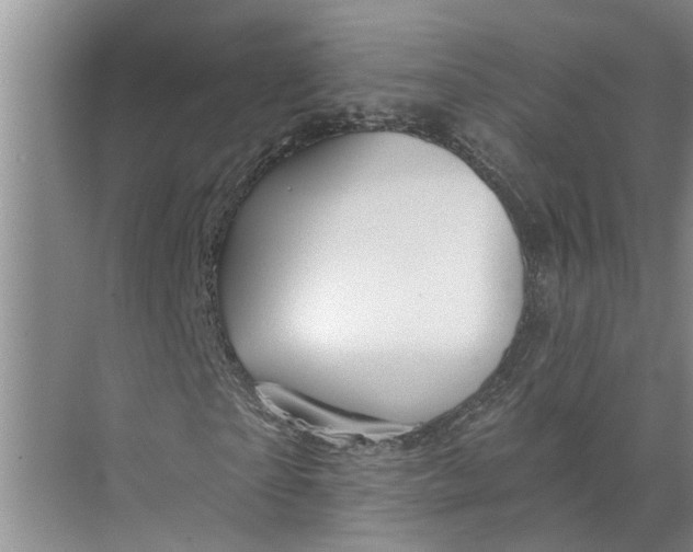 X0000071800865200607150144