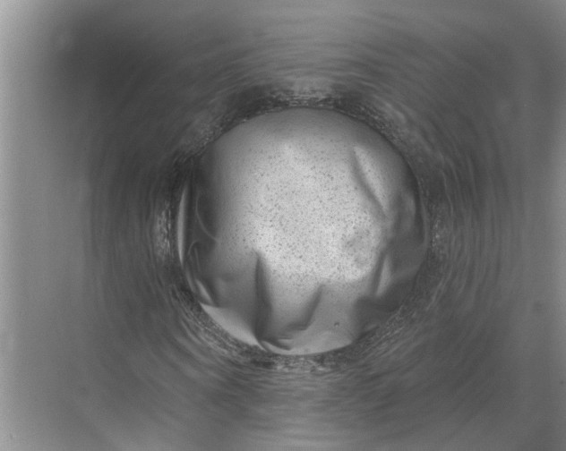 X0000071800866200607150144