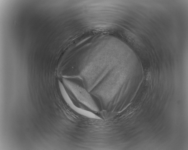 X0000071800868200607150144