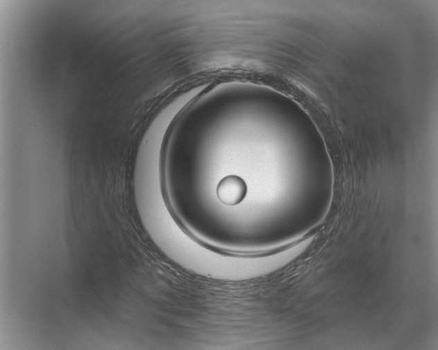 X0000071800869200607150144