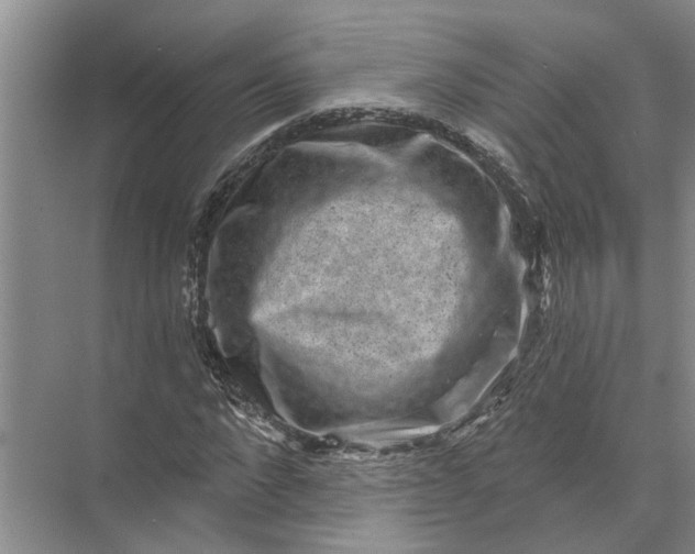 X0000071800872200607150144