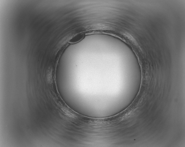 X0000071800873200607150144