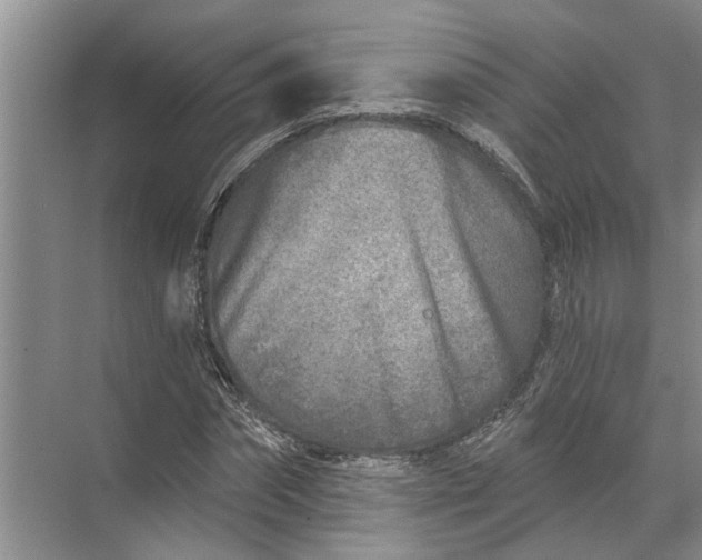 X0000071800874200607150144