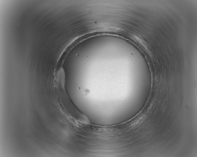 X0000071800875200607150144