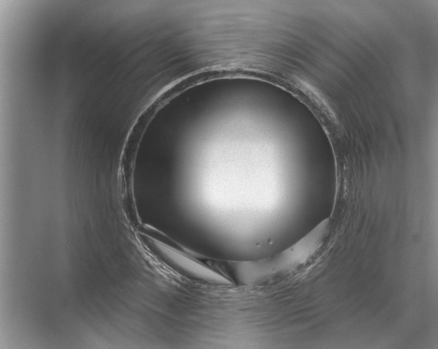 X0000071800876200607150144