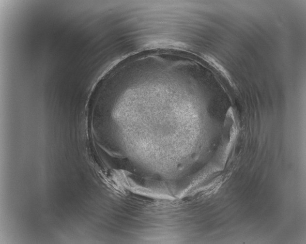 X0000071800877200607150144