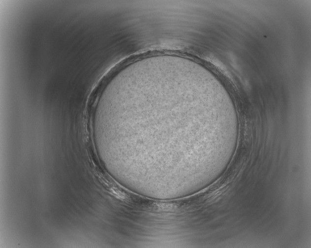 X0000071800878200607150144