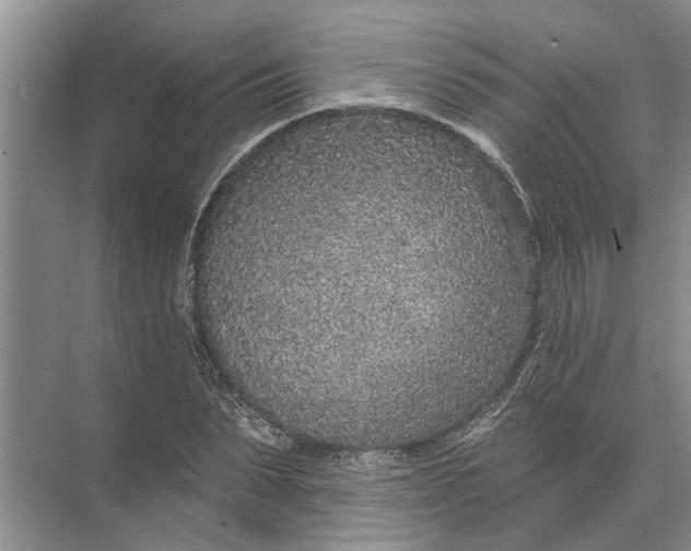 X0000071800879200607150144