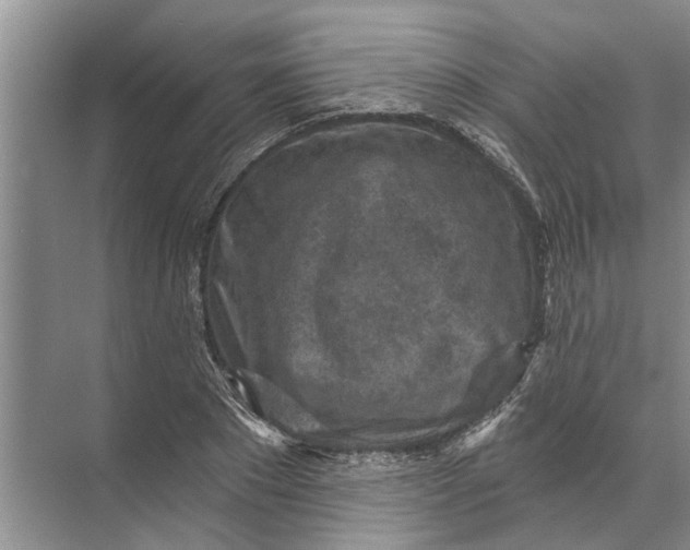 X0000071800881200607150144