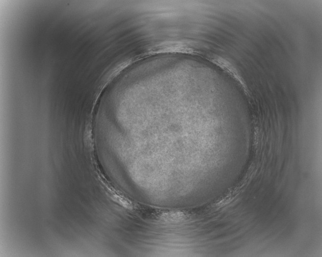 X0000071800882200607150144