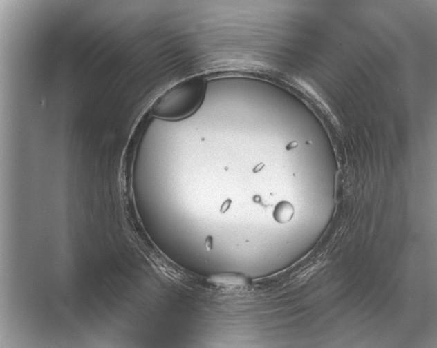 X0000071800883200607150144