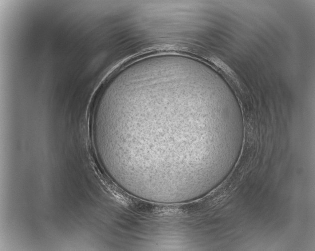 X0000071800886200607150144