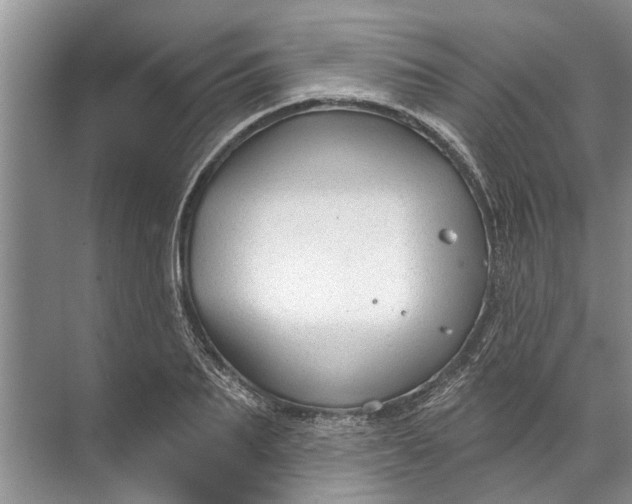 X0000071800887200607150144