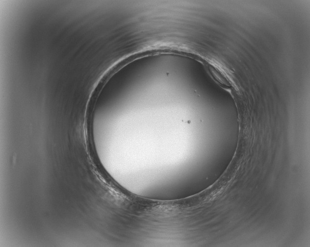 X0000071800888200607150144