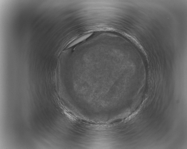 X0000071800889200607150144