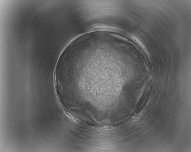 X0000071800891200607150144