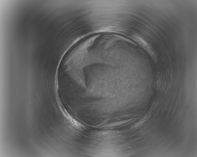 X0000071800892200607150144