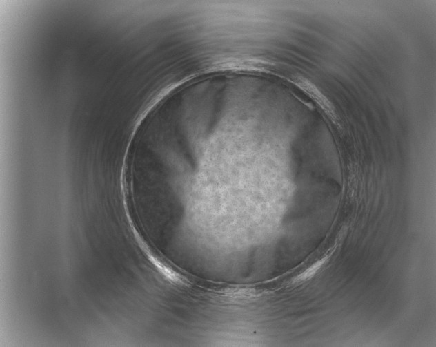 X0000071800893200607150144