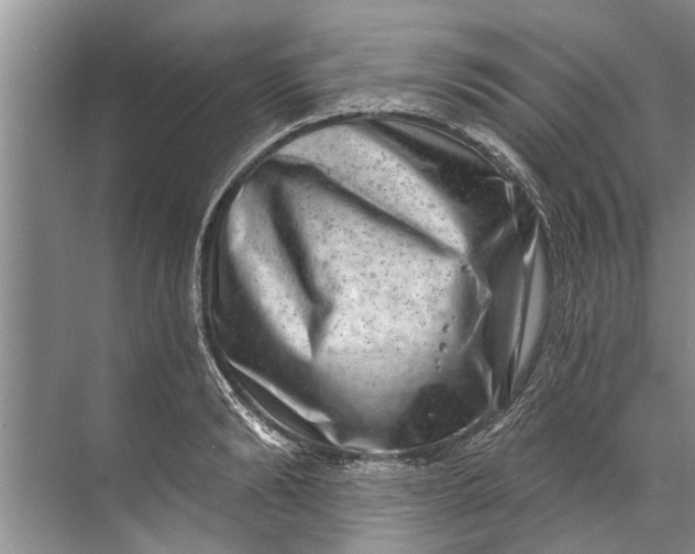 X0000071800894200607150144