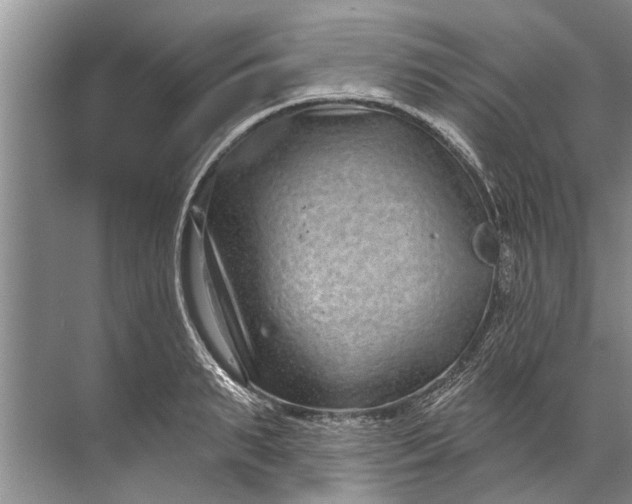 X0000071800895200607150143