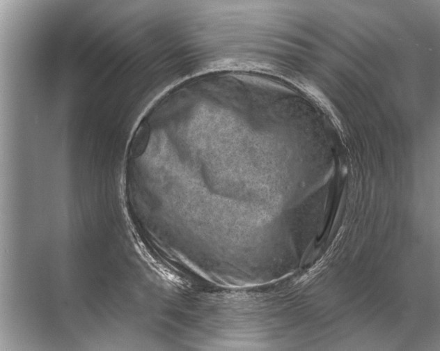 X0000071800896200607150143