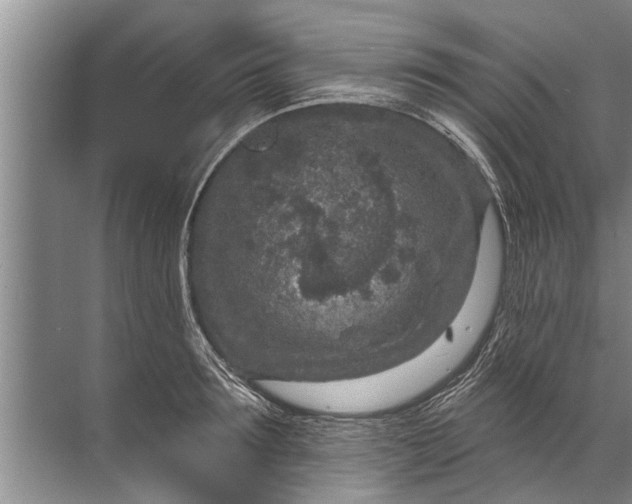 X0000071800899200607150143