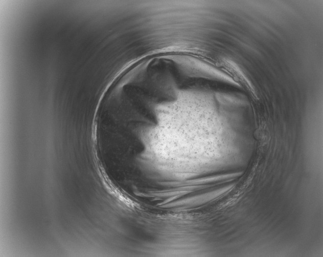 X0000071800900200607150143