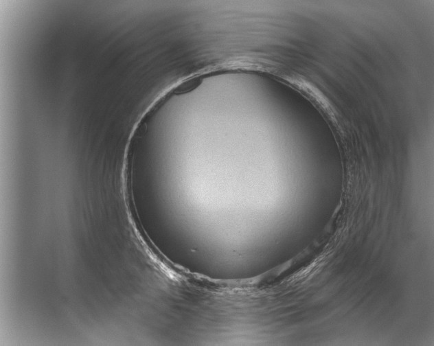 X0000071800902200607150143