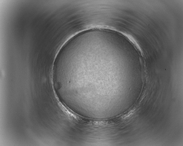 X0000071800903200607150143