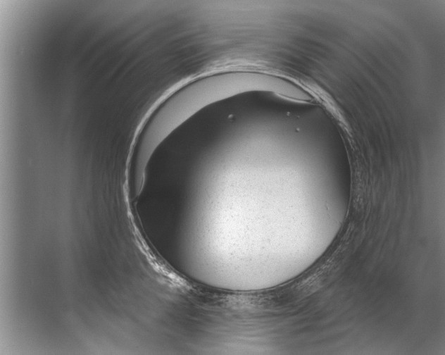 X0000071800904200607150143