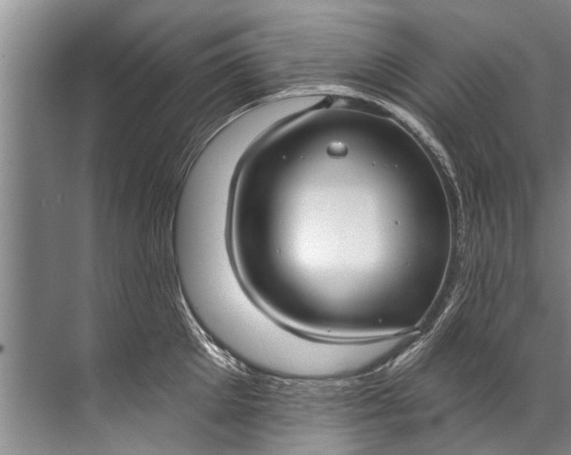 X0000071800905200607150143