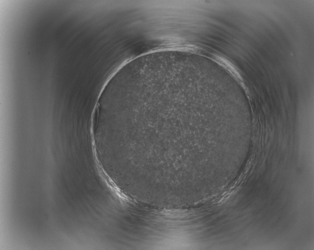 X0000071800907200607150143