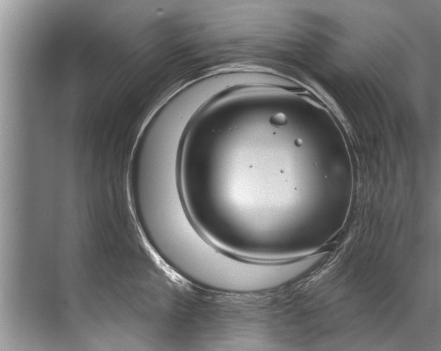 X0000071800909200607150143