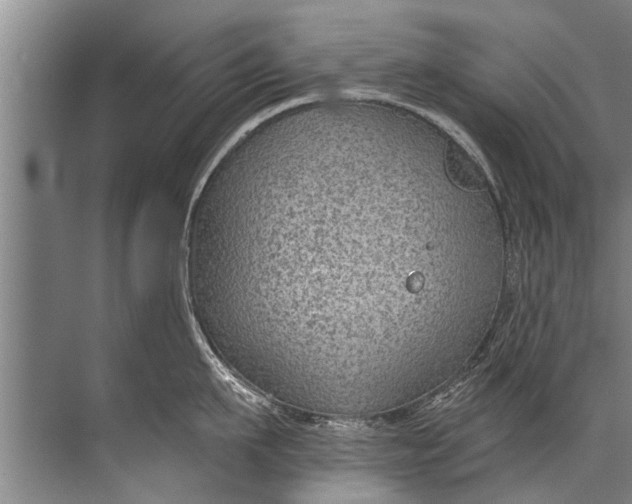 X0000071800911200607150143