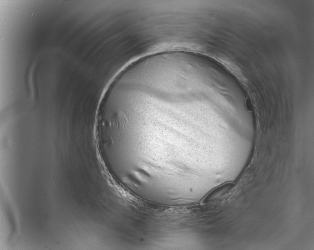 X0000071800912200607150143