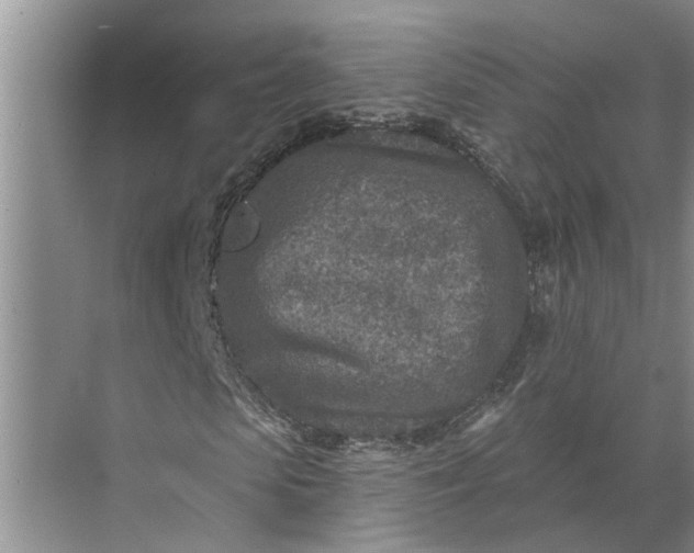 X0000071800913200607150142