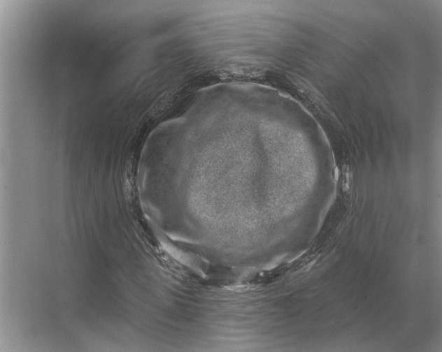 X0000071800915200607150142