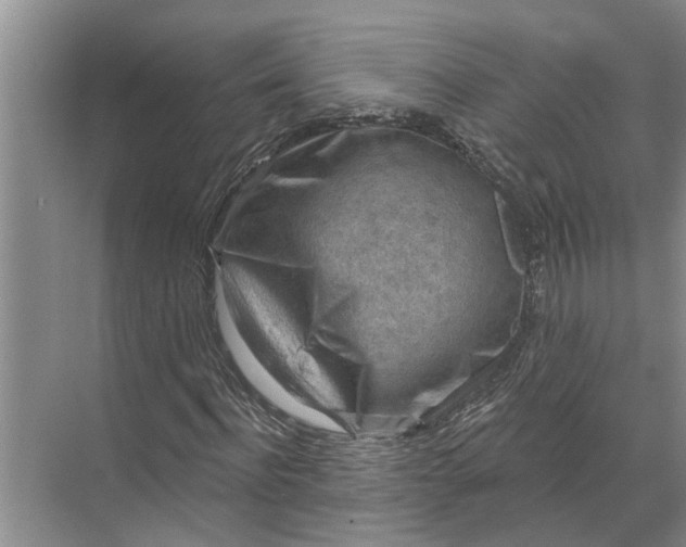 X0000071800916200607150142