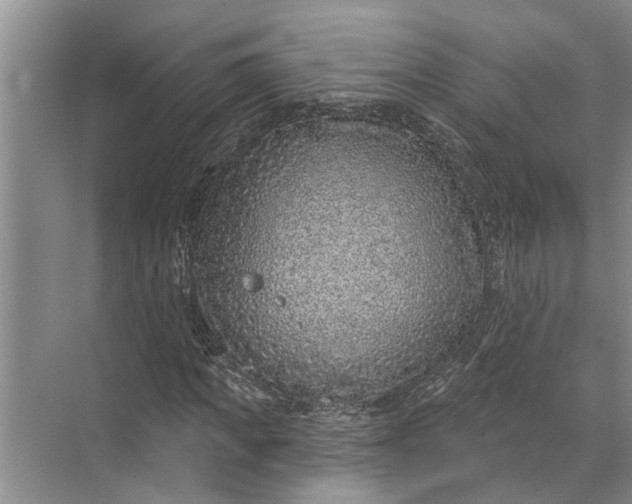 X0000071800917200607150142